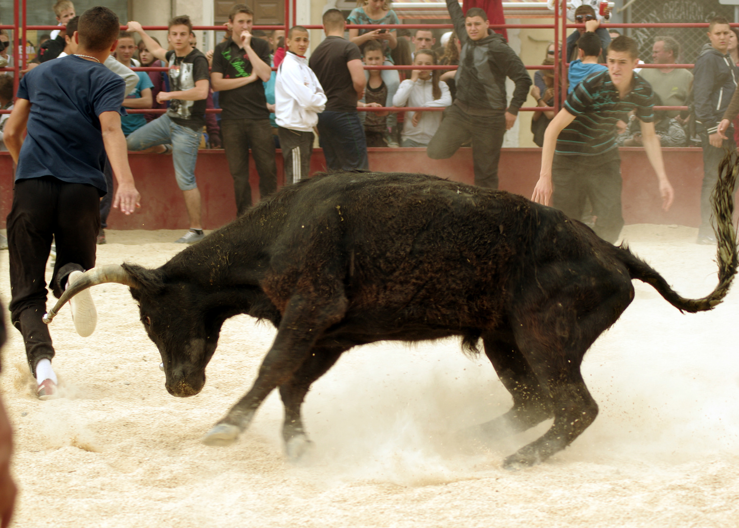 la danse du taureau ....chaud devant !!!!