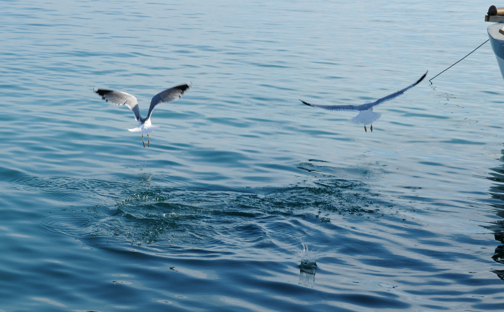 La danza dell'acqua...