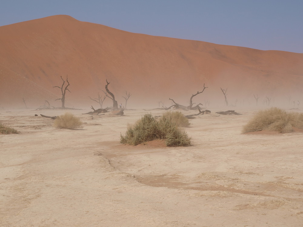 La DeadVlei