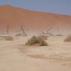 La DeadVlei