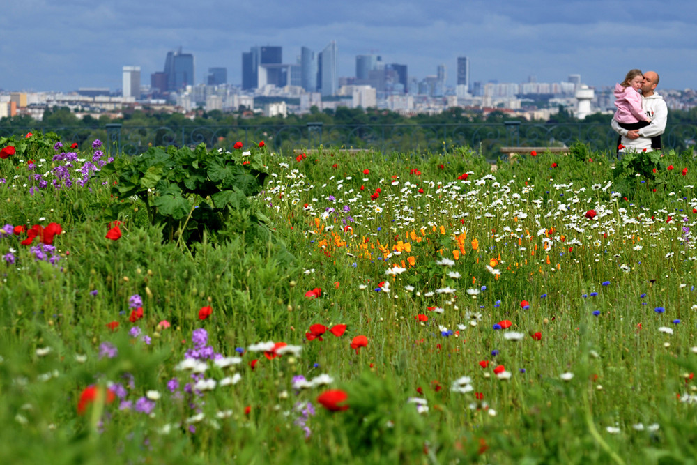 La Défense à la campagne