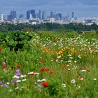 La Défense à la campagne