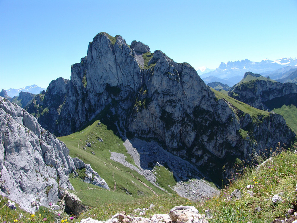 La dent d'oche