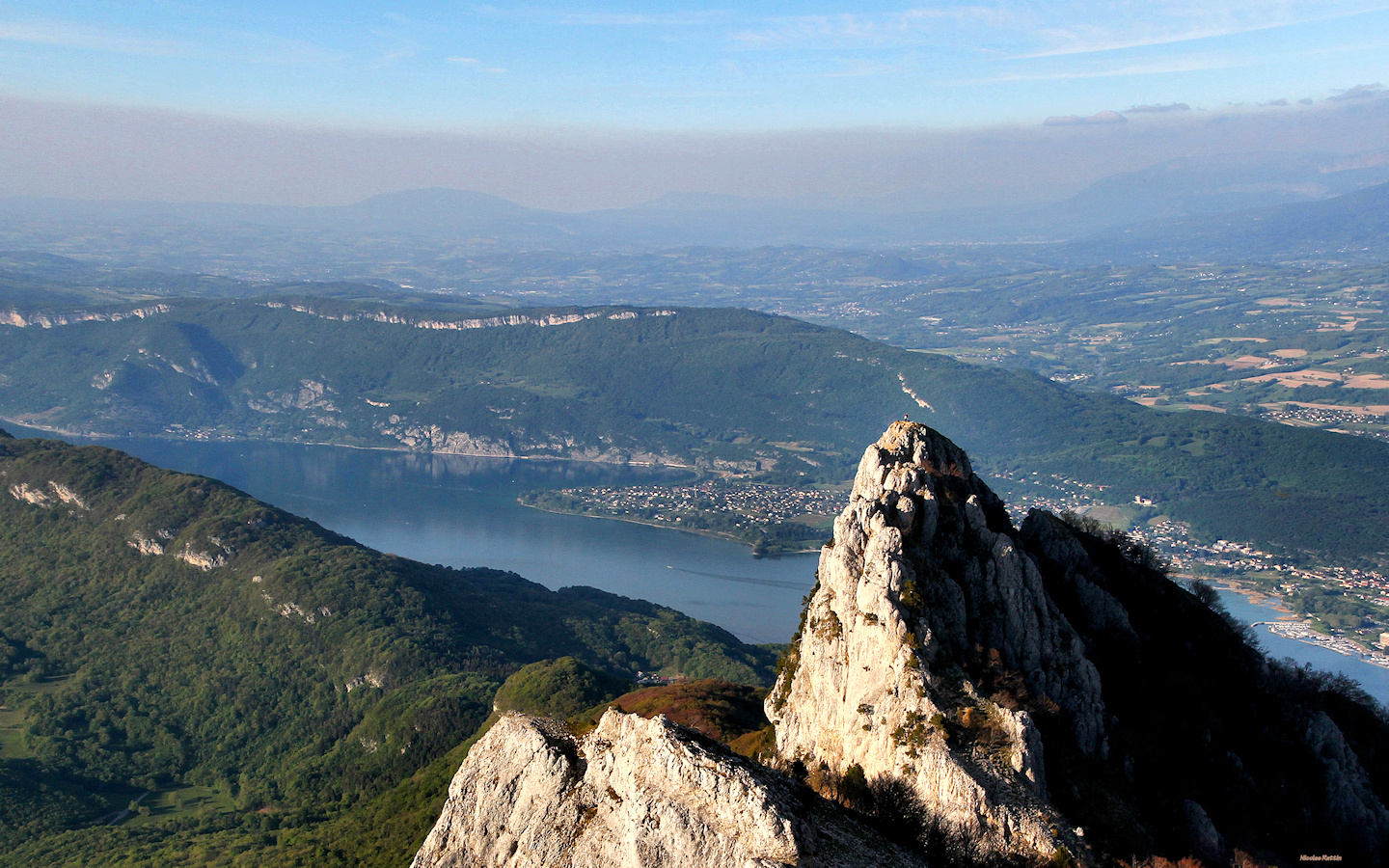 La dent du chat