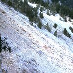 La descente du col du Comte