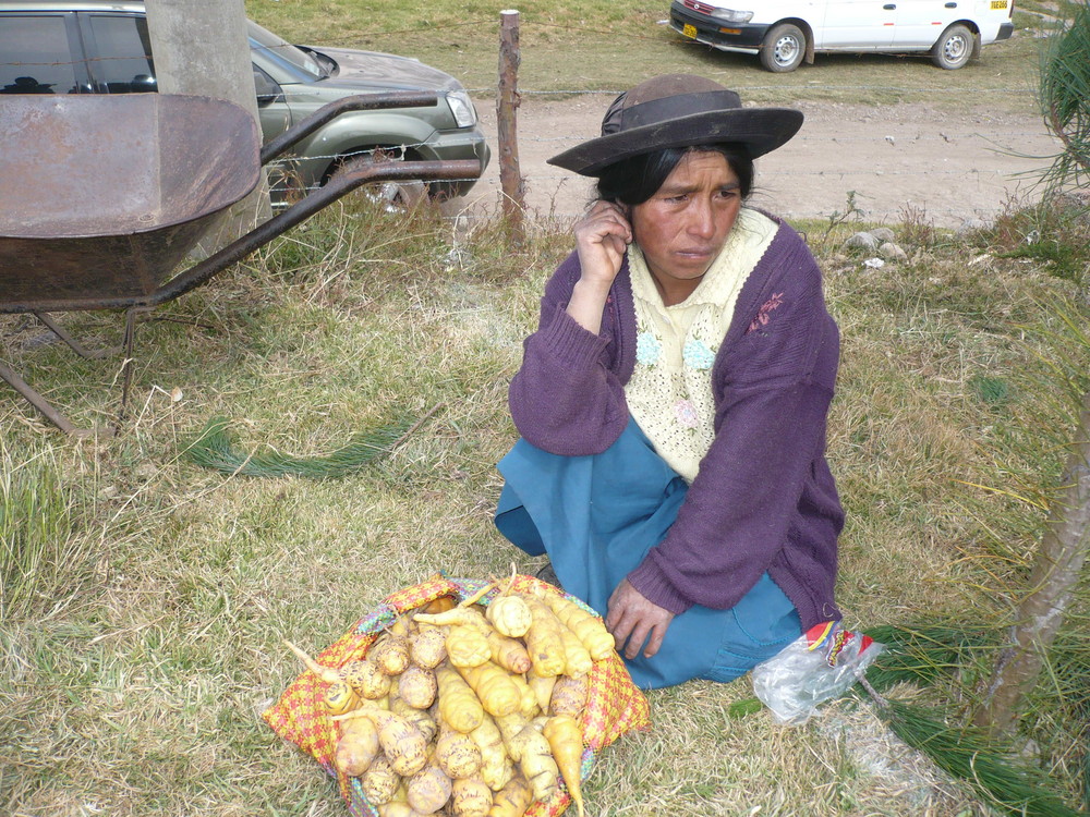 LA DESIGUALDAD EN EL MUNDO