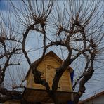 La desnudez invernal de la casa del árbol