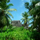 La Digue