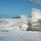 la digue de Wissant octobre 2008 (3)