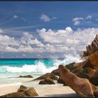 La Digue - Petite Anse