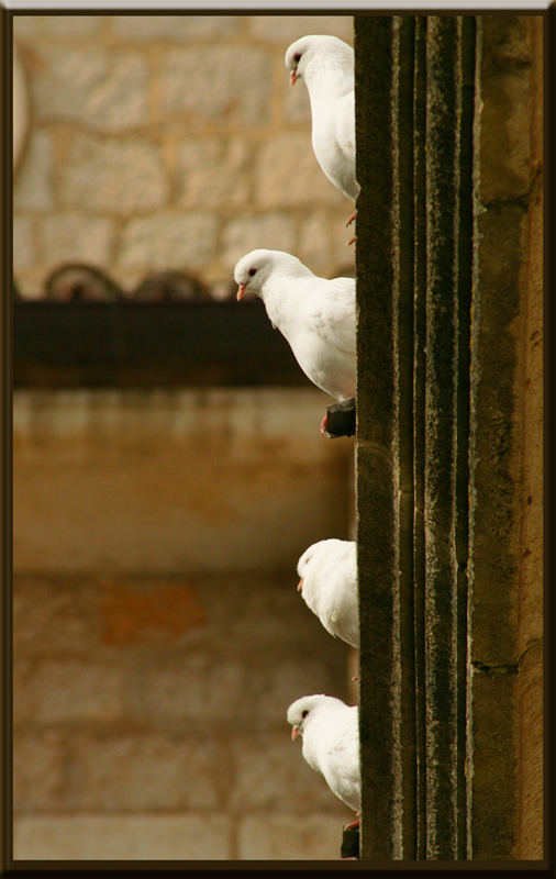 La discrezione degli angeli