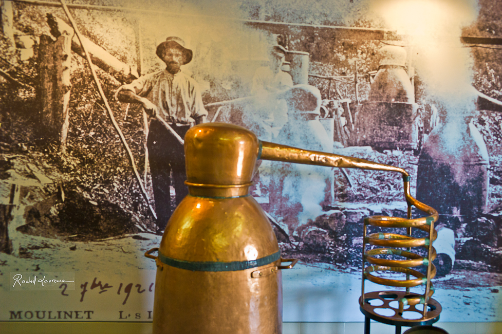 La distillation de la lavande à Coustellet, Lubéron