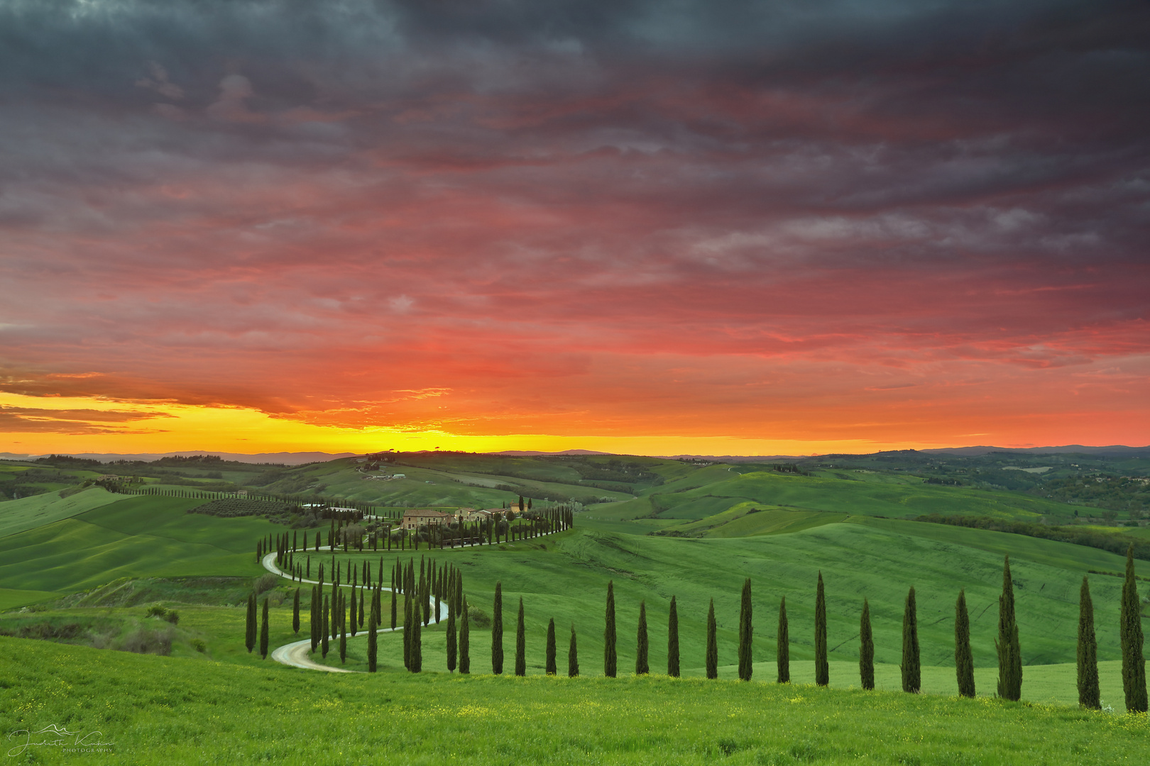 la divina toscana