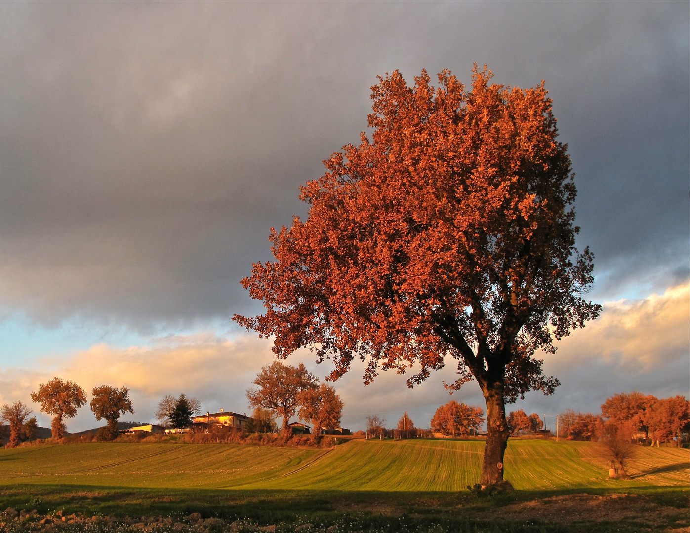 La dolcezza dell'autunno