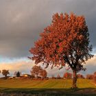 La dolcezza dell'autunno