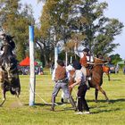 LA DOMA,FIESTAS ARGENTINAS