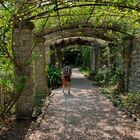 LA DONNA NEL GIARDINO ( omaggio a lei )