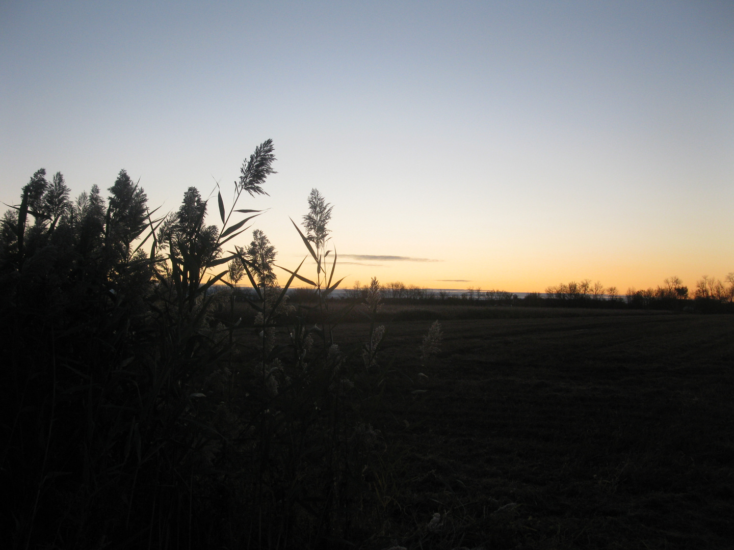 La douceur du matin