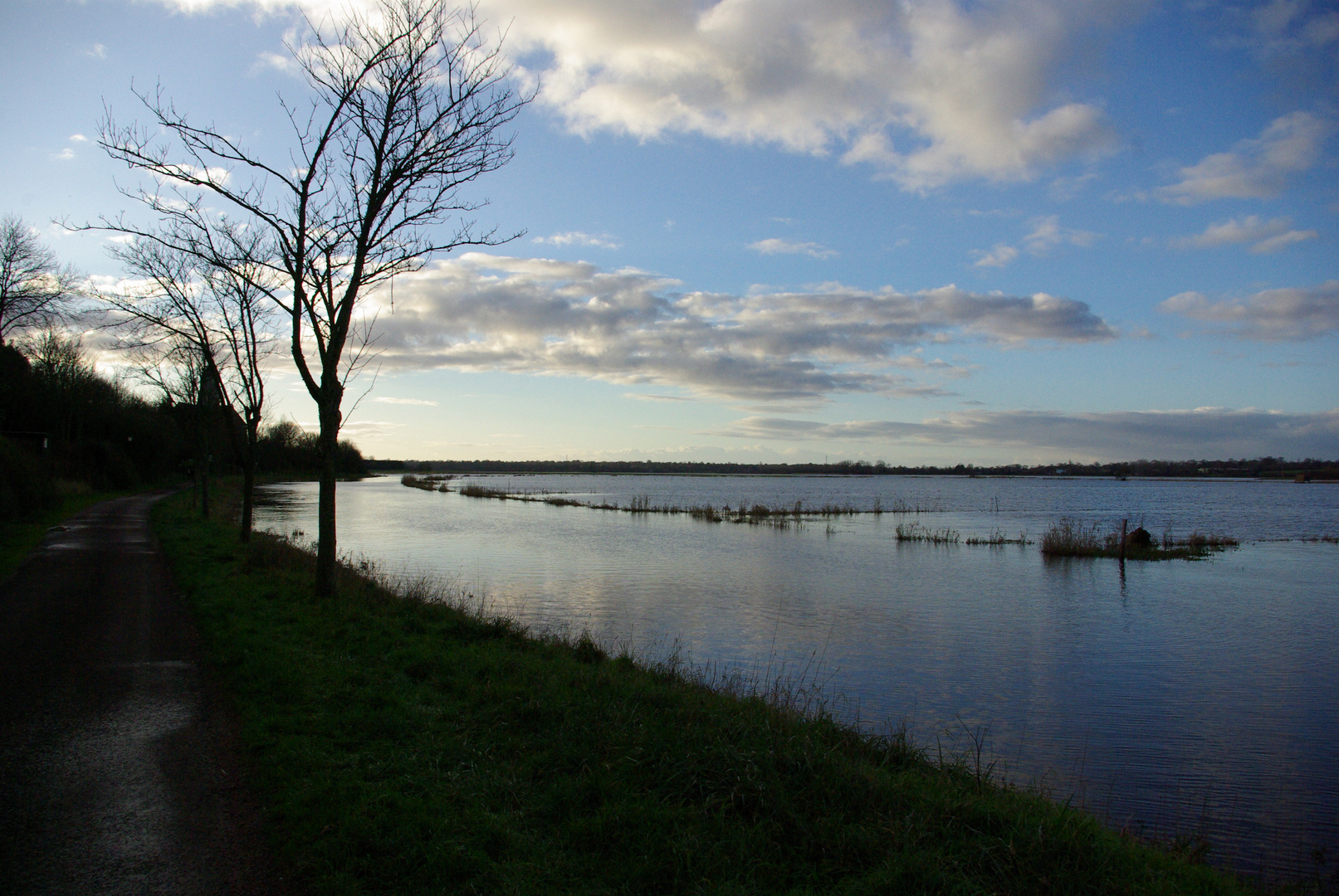 La Douve et le marais