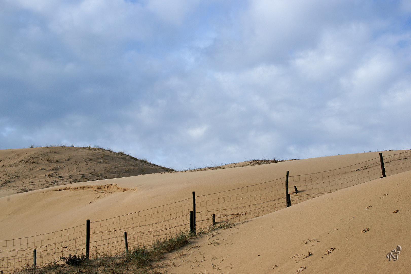 La dune