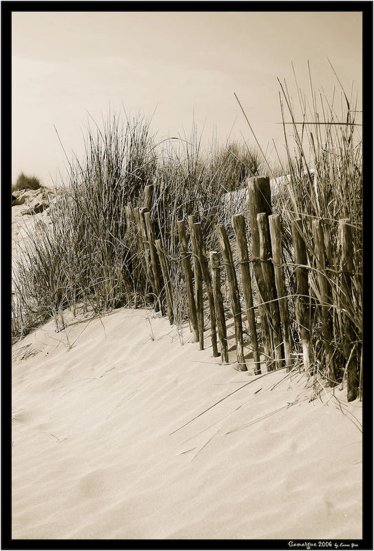 La dune