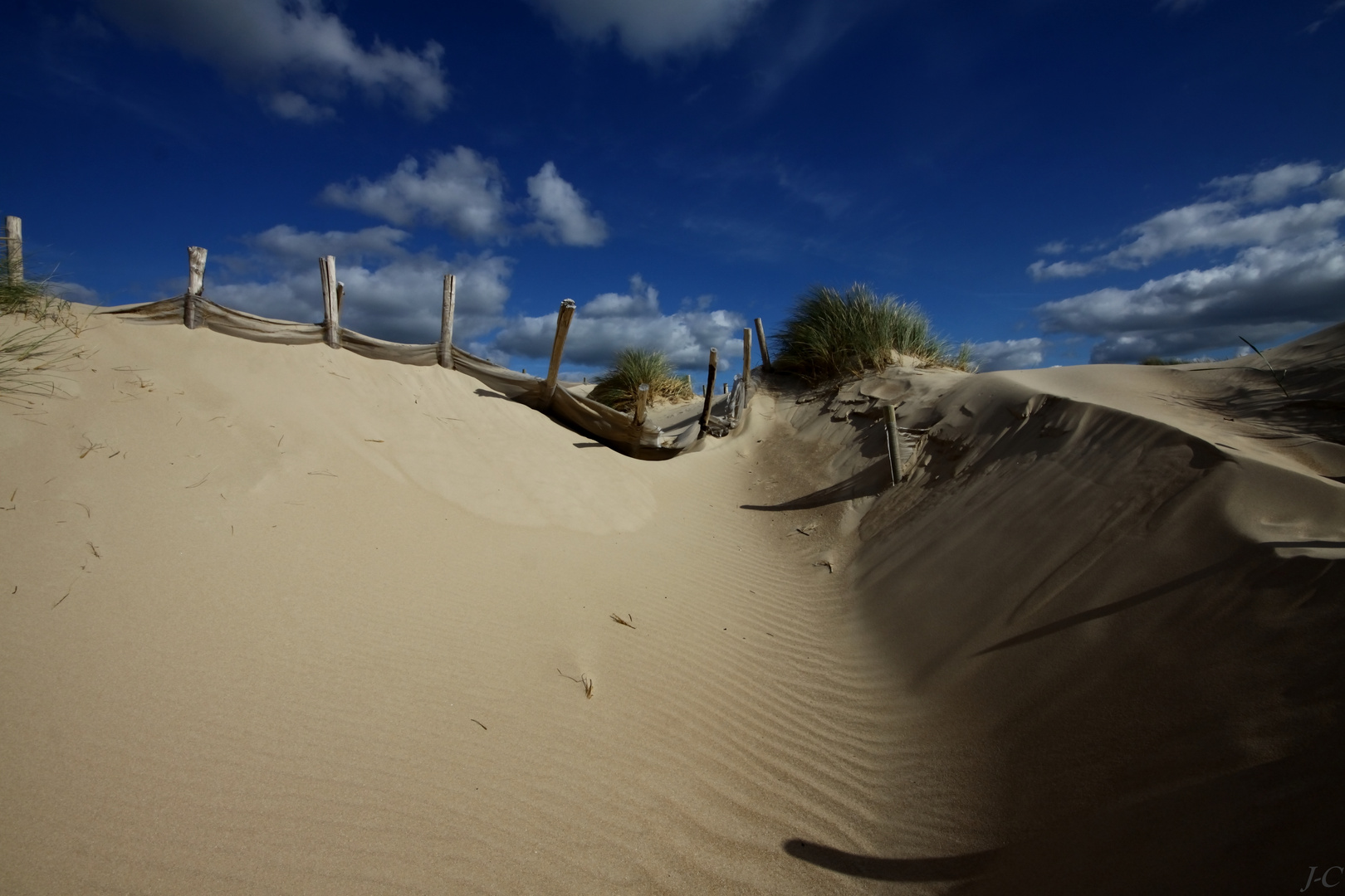 " La dune "