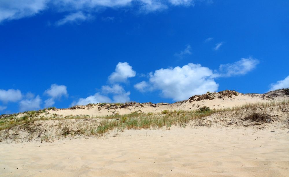 La dune à la plage de Mimizan Lespecier