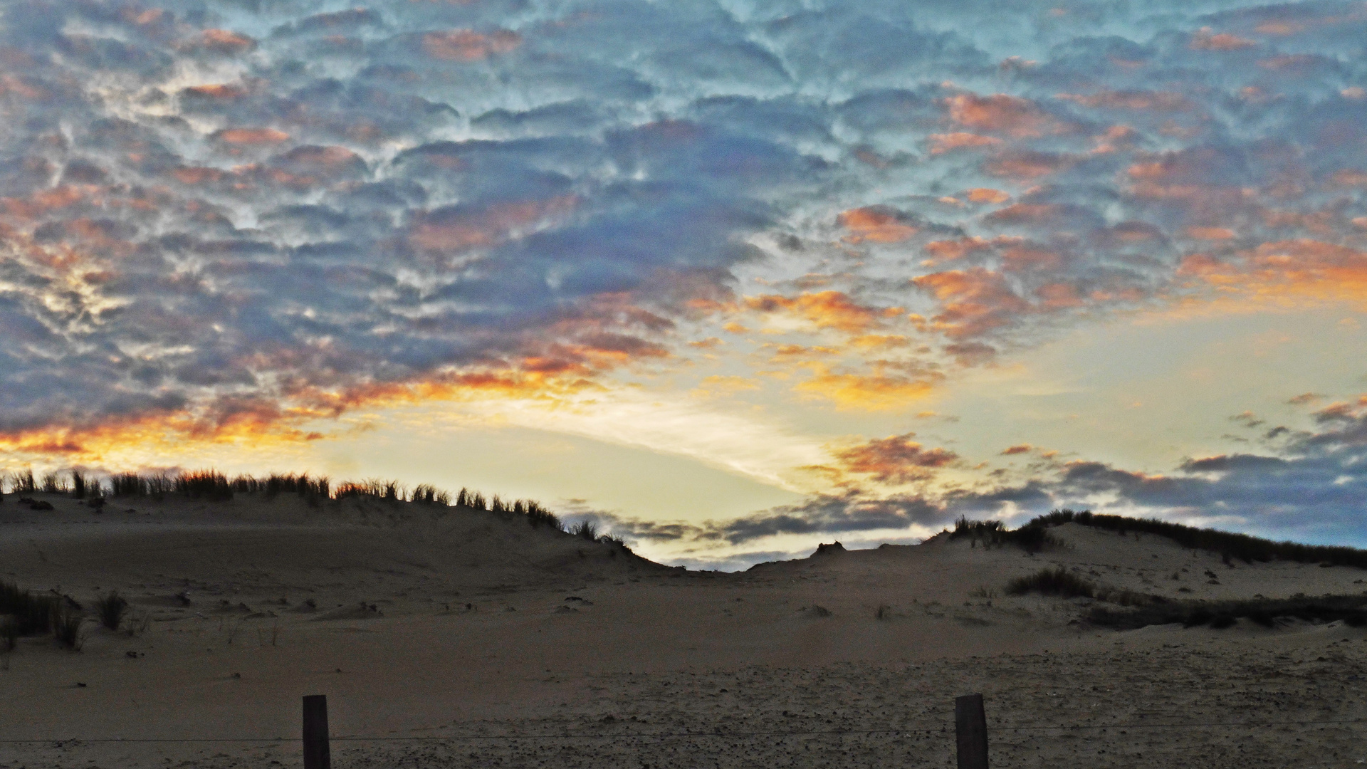 La dune au bord de l'océan