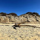 la dune aura encore souffert une fois de plus avec la der tempête et les hautes eaux!