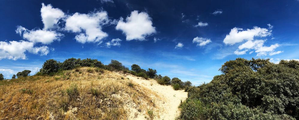 La dune côtière