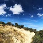 La dune côtière