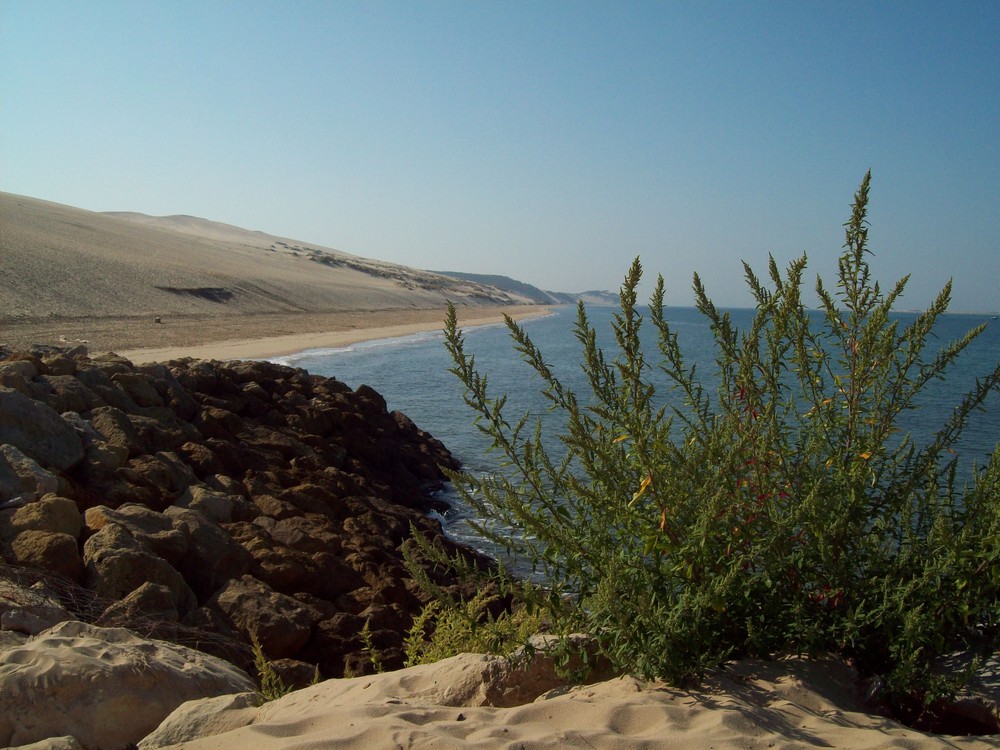 La dune de Pyla