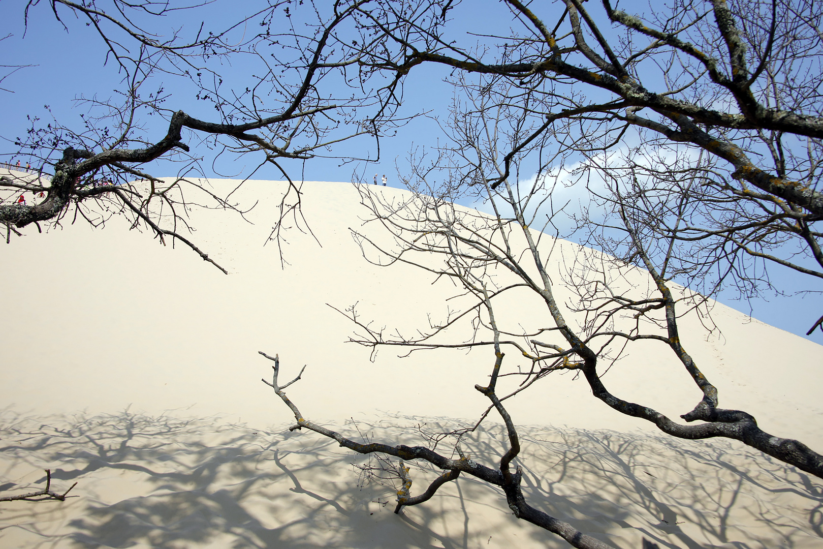 La dune du Pilat