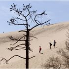 La Dune du Pyla