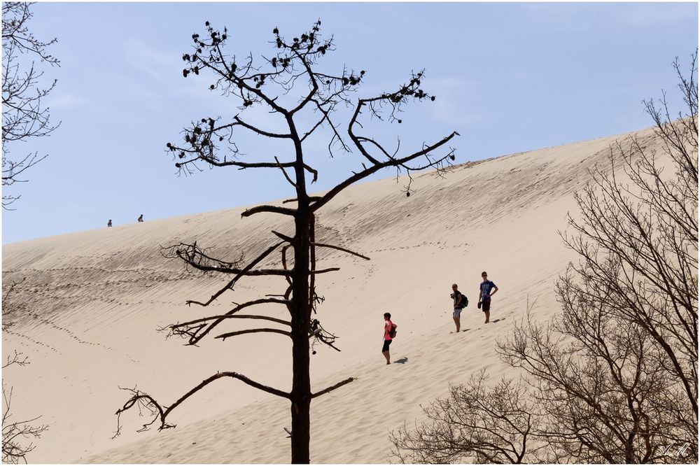 La Dune du Pyla