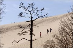 La Dune du Pyla