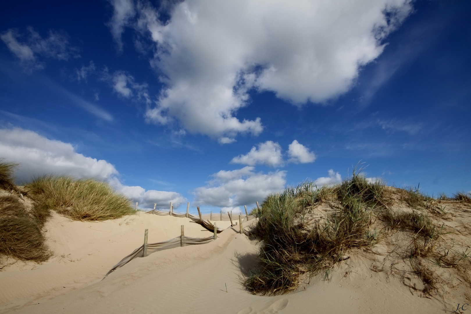 " La dune "