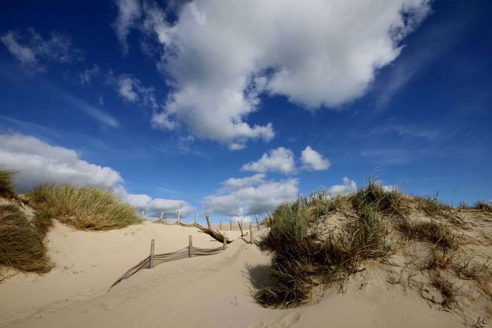 " La dune "