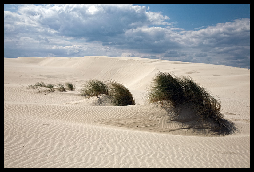 La dune