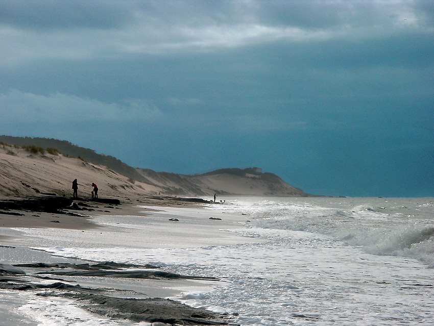 La dune en automne