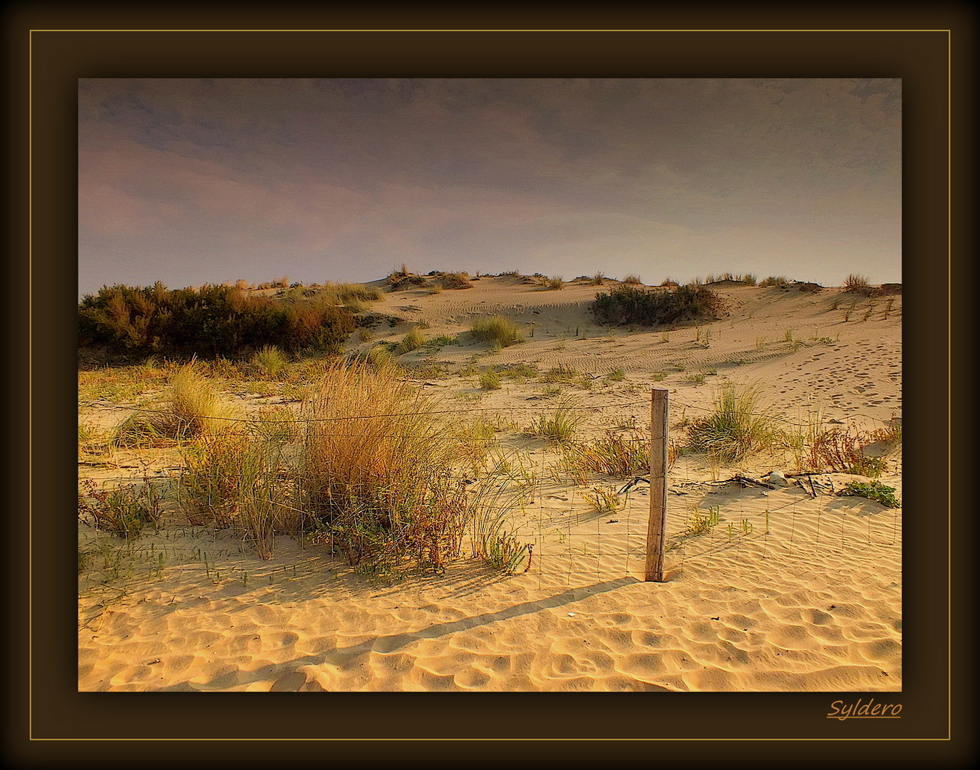 La dune en automne