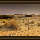 La dune en automne