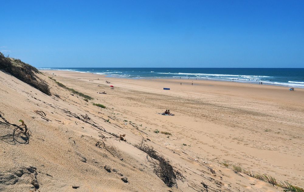 La dune et la plage côté sud