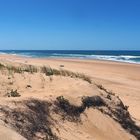 La dune et la plage de Mimizan Lespecier