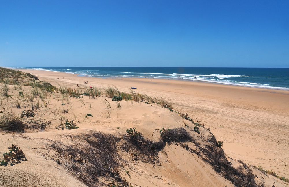 La dune et la plage de Mimizan Lespecier