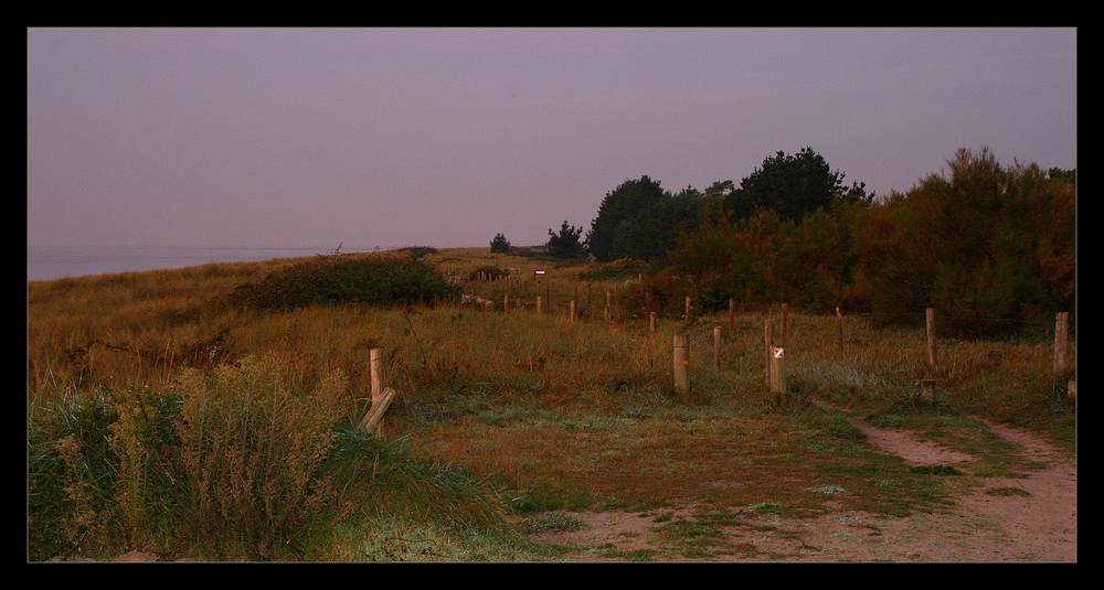 " La dune vers 7h30 il y à trois jour "