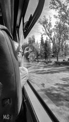 La duplicidad del ser