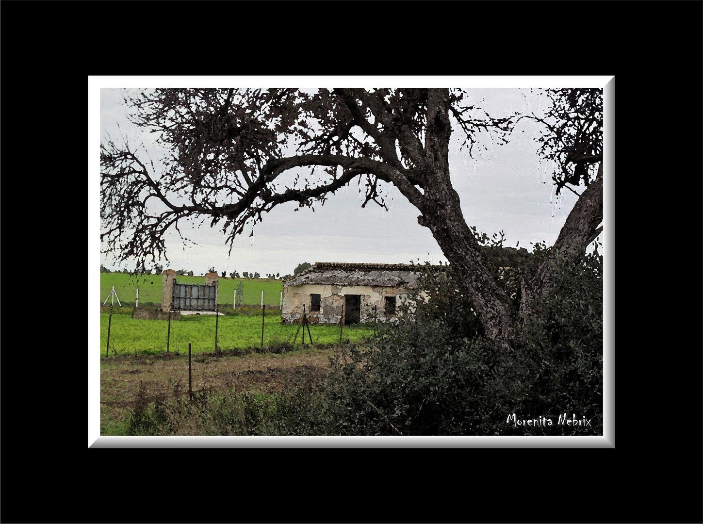 La dura soledad del abandono...