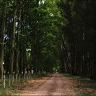 La entrada a los campos