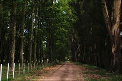 La entrada a los campos